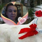 Profil de Kacendra